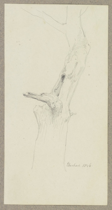 Abgestorbener Baum bei Eberbach von Carl Theodor Reiffenstein