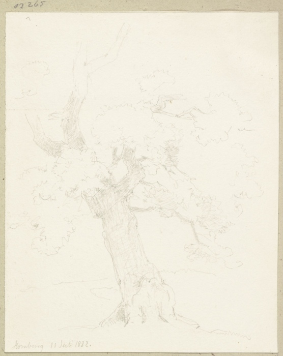 Alter Baum von Carl Theodor Reiffenstein