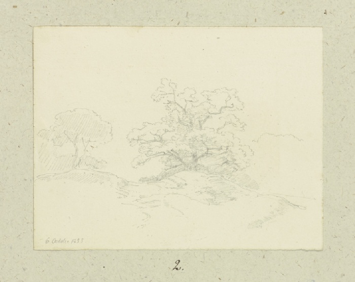 Alter Baum auf einer Erhebung von Carl Theodor Reiffenstein