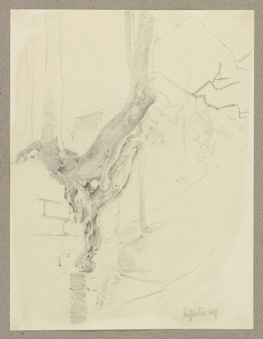 Alter Baum, auf einer geborstenen Mauer wachsend von Carl Theodor Reiffenstein
