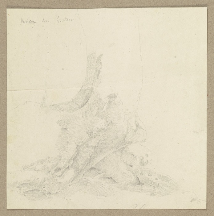 Auf steinigem Grund wachsender Baum von Carl Theodor Reiffenstein