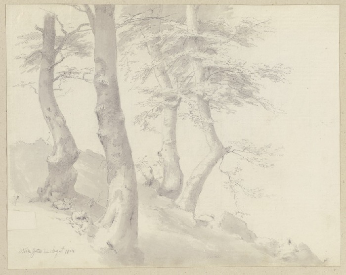 Bäume an einem Hang von Carl Theodor Reiffenstein