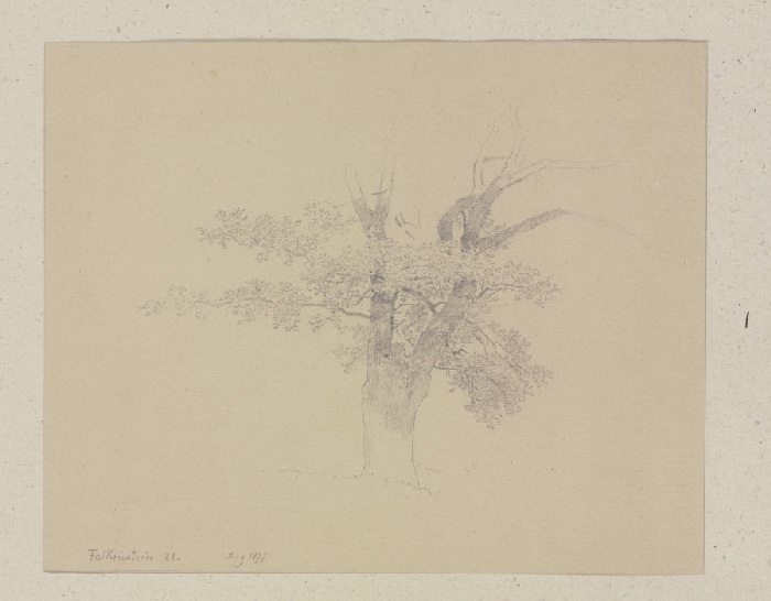 Baum bei Königstein-Falkenstein von Carl Theodor Reiffenstein