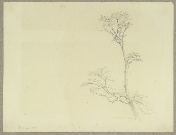 Baum mit kargem Astwerk bei Reifenberg von Carl Theodor Reiffenstein