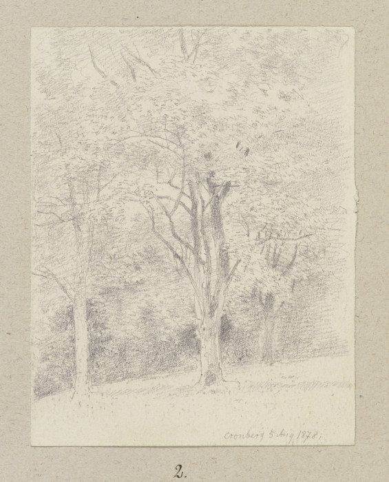 Baumgruppe bei Kronberg von Carl Theodor Reiffenstein