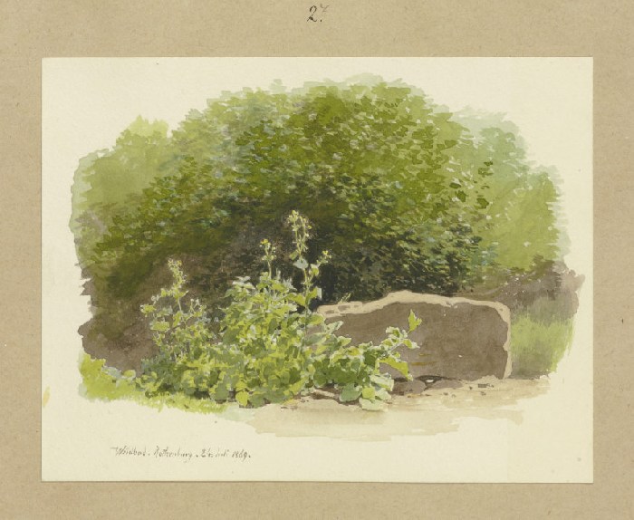 Eine Pflanze neben einem Steinblock, dahinter Sträucher von Carl Theodor Reiffenstein