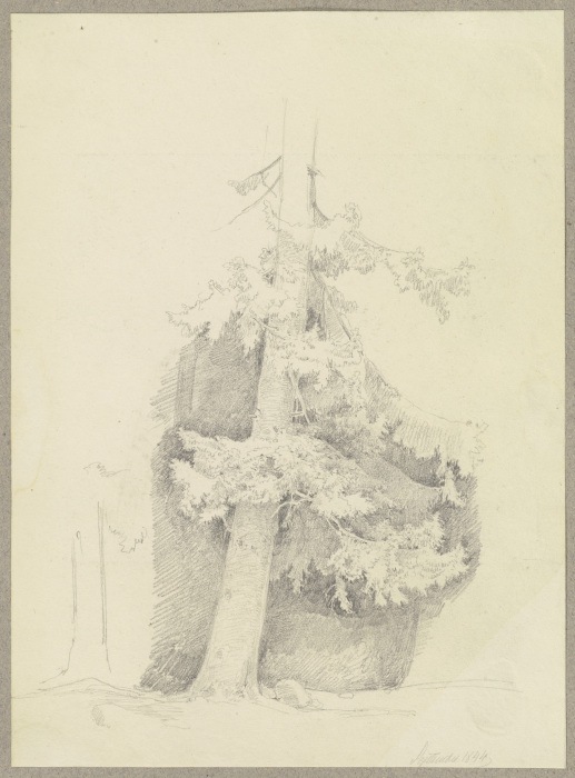 Nadelbaum von Carl Theodor Reiffenstein