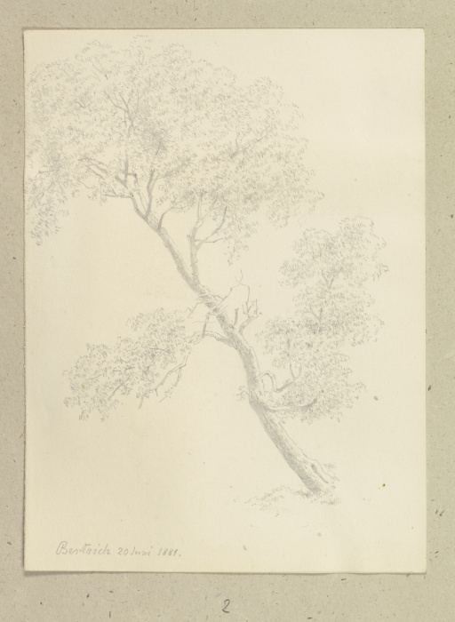 Schief gewachsener Baum in Bertrich von Carl Theodor Reiffenstein
