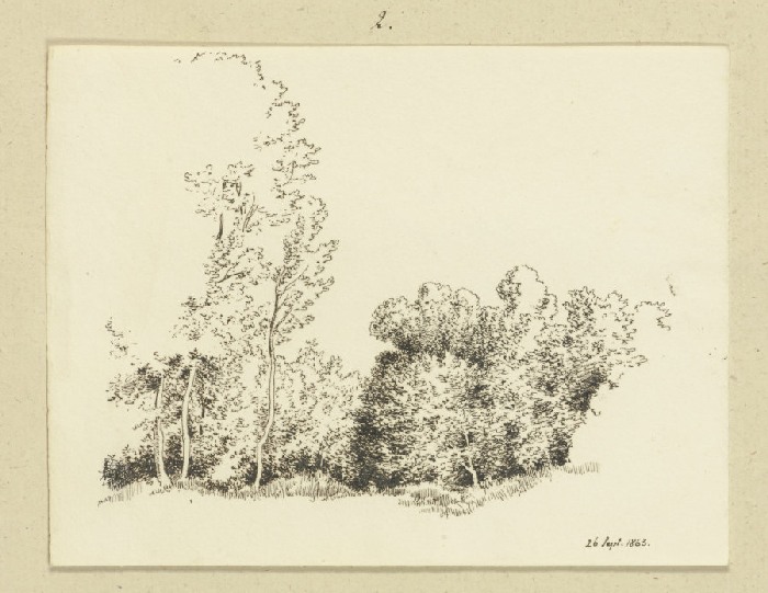 Von Bäumen gesäumter Landweg von Carl Theodor Reiffenstein