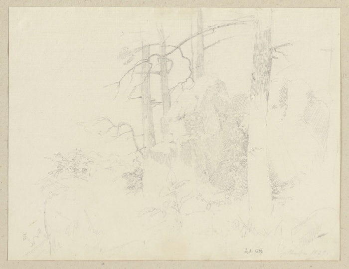 Waldlandschaft mit Fels von Carl Theodor Reiffenstein