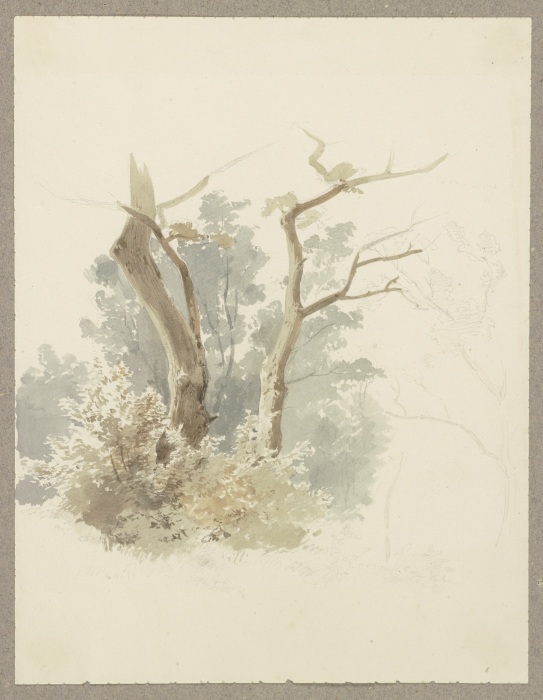 Waldpartie, im Vordergrund ein Baumpaar von Carl Theodor Reiffenstein