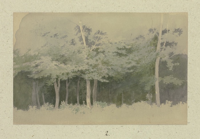 Waldstück von Carl Theodor Reiffenstein