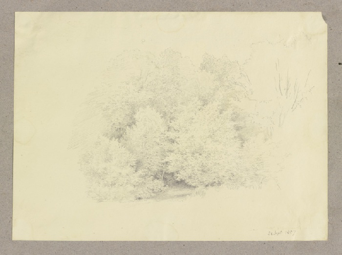 Waldstück von Carl Theodor Reiffenstein