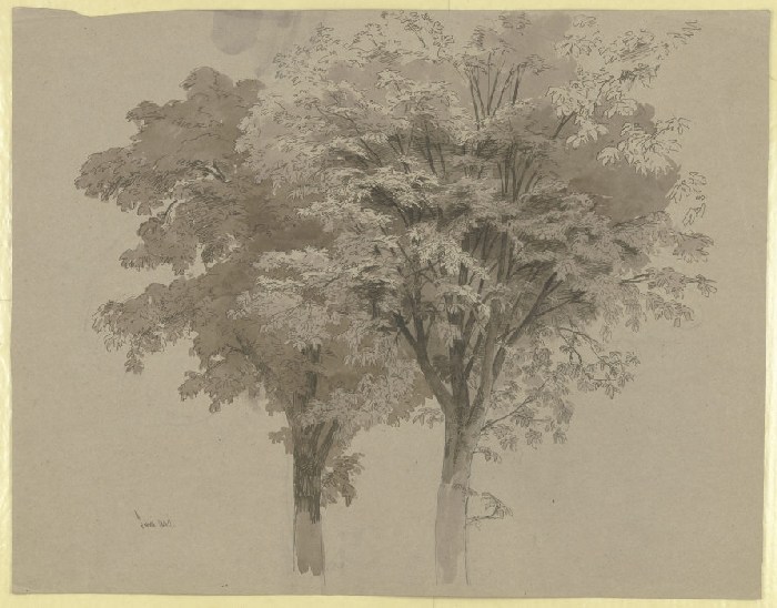 Zwei Bäume von Carl Theodor Reiffenstein