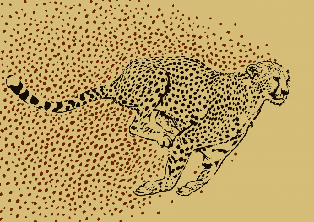 Gepard voller Sprint von Carlo Kaminski