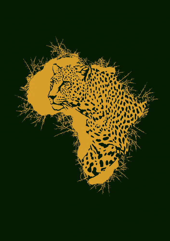 Leopard Dorniges Afrika von Carlo Kaminski