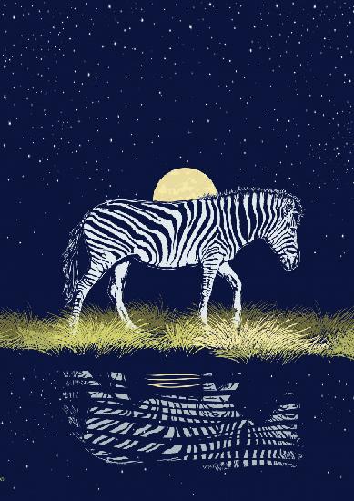 Zebra am Waterhole Moonrise