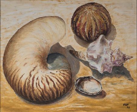 Seashells 1993