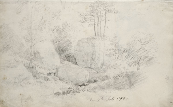 Boulders in Woodland von Caspar David Friedrich