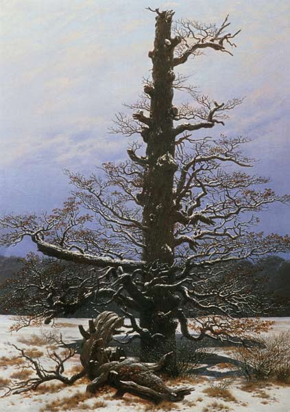 Eichbaum im Schnee von Caspar David Friedrich