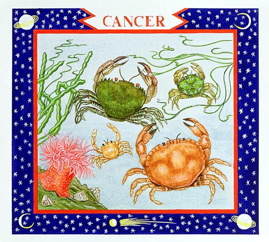 Cancer (w/c on paper)  von Catherine  Bradbury