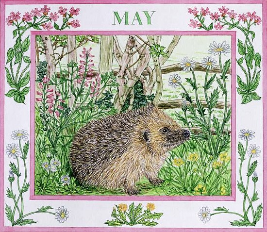 May (w/c on paper)  von Catherine  Bradbury