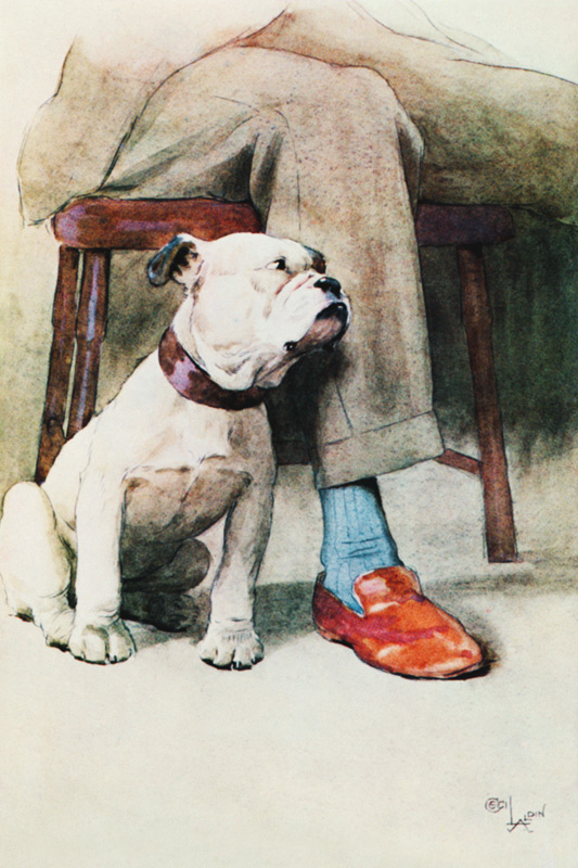 Bulldog mit Worten  von Cecil Charles Windsor Aldin