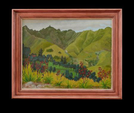 Landscape, Diana s Peak, St Helena 1964