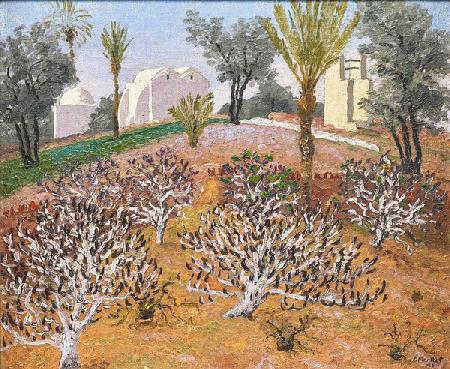 Pays de Lotophages, Djerba, Tunisia 1926