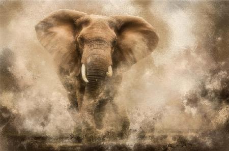„...Wütender Elefantenbulle stürmt …“