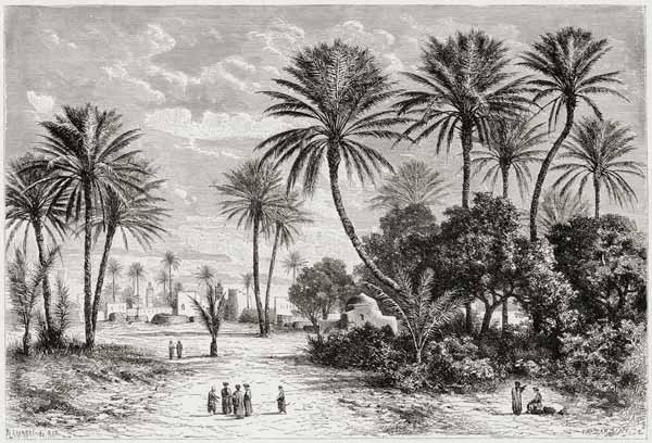 Oasis of Gafsa: Tunis von Charles Barbant