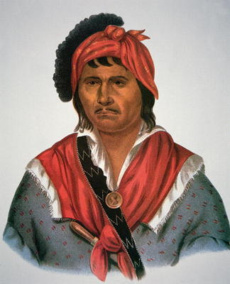 Neamathla Chief, 1826 (colour litho) von Charles Bird King