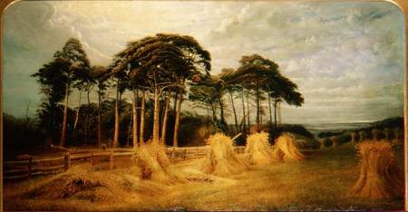 Sheaves of Wheat after the Harvest von Charles Henry Passey