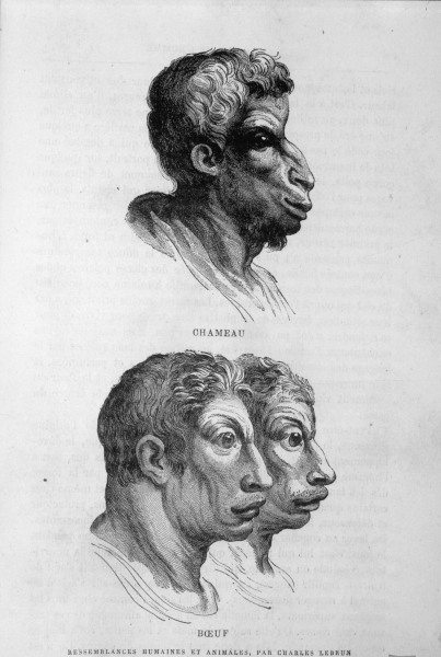 Ähnlichkeiten zw. Mensch u.Tier/Le Brun von Charles Le Brun