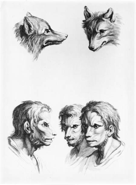 Similarities Between the Head of a Wolf and a Man, from 'Livre de portraiture pour ceux qui commence von Charles Le Brun