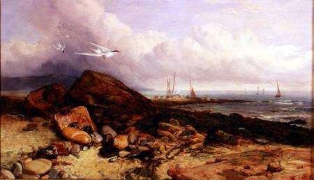 Shore Scene with Fishing Boat and Terns von Charles Napier Hemy
