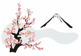 Kirschblüte vor dem Mount Fuji