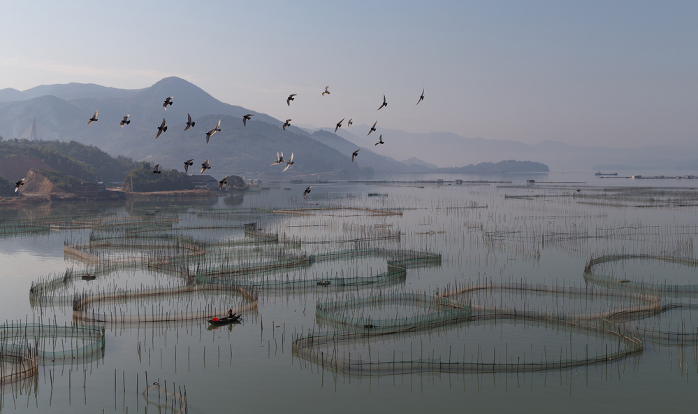 Eine Aquakulturfarm in Fuding von Cheng Chang