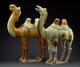 Two camels, Tang Dynasty (618-907) (glazed earthenware) 16th