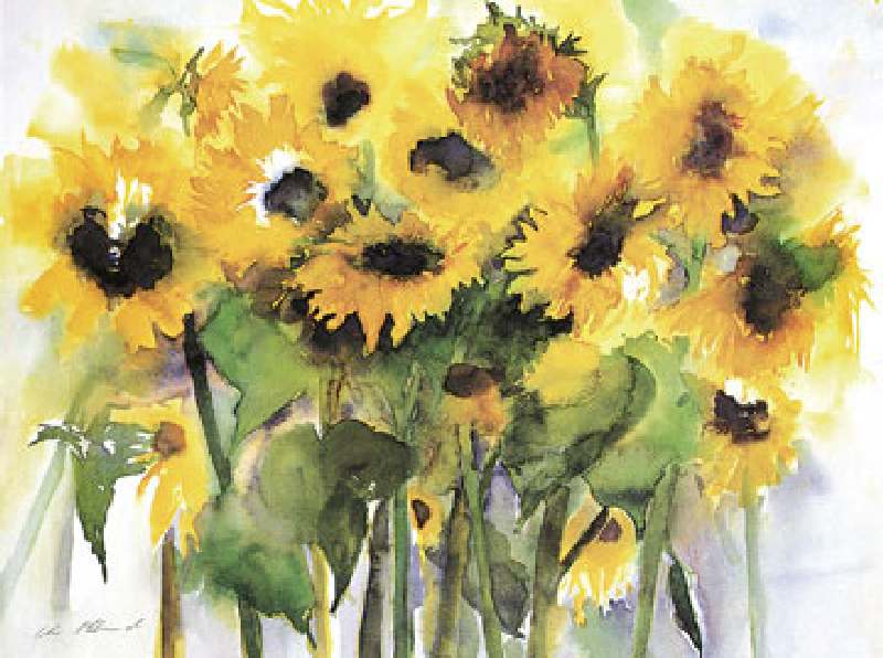 Sonnenblumenfeld von Christa Ohland