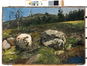 Studie eines Waldhangs mit Steinen Um 1880
