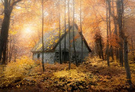 Haus im Wald während der Herbstsaison