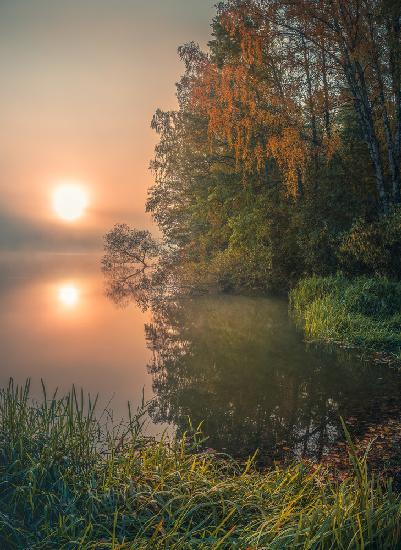Nebliger Herbstsee
