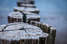 Alte Buhnen am Strand in Zingst 2015