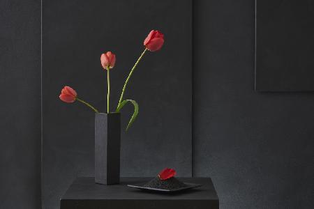 Tulipa Gesneriana Nr. 2