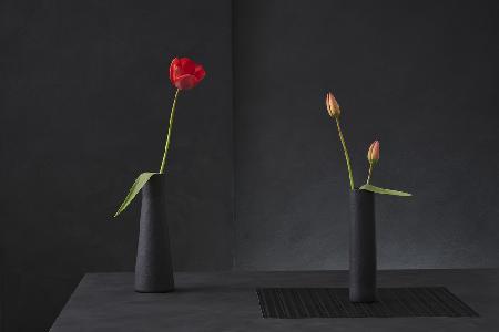Tulipa Gesneriana Nr. 3