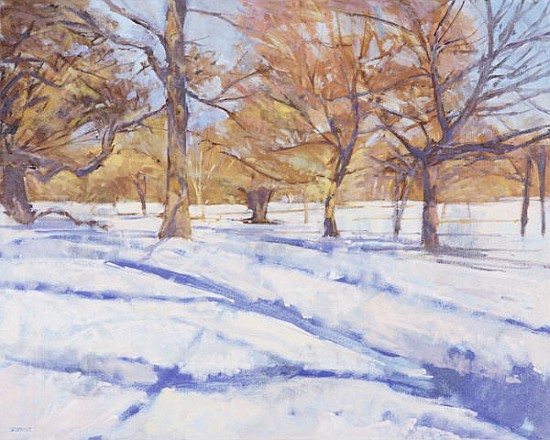 Winter, Richmond Park (oil on canvas)  von Christopher  Glanville