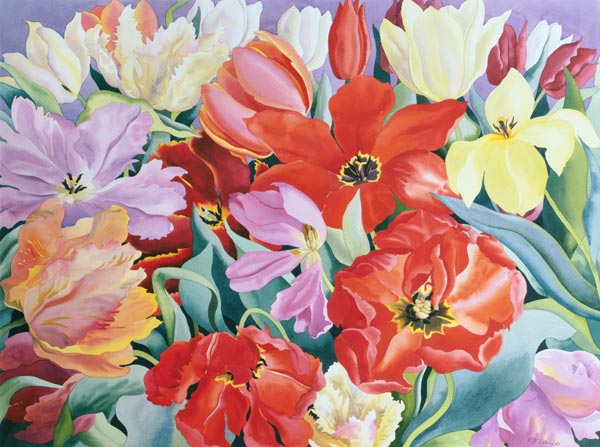 Massed Tulips von Christopher  Ryland