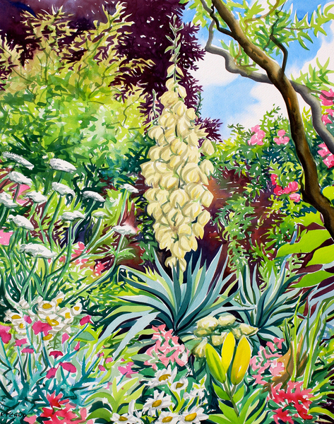 Garden with Flowering Yucca von Christopher  Ryland