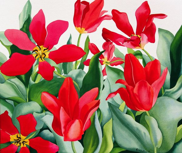 Shakespeare Tulips von Christopher  Ryland